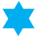 Mitzvah-Program